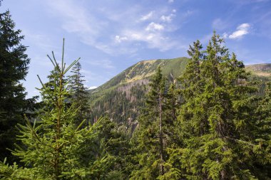 Yaz dağlar, Krkonose Çek Cumhuriyeti