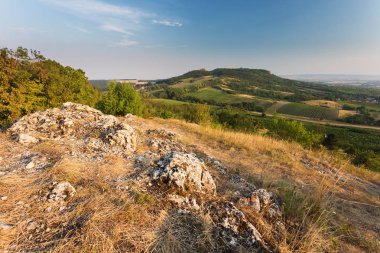 E, kırsal yaz peyzaj, arka plan tepelerde. Güney Mo