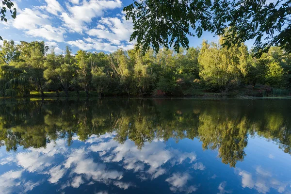 Stromy a obloha se odráží na hladině rybníka. Příroda photogr — Stock fotografie