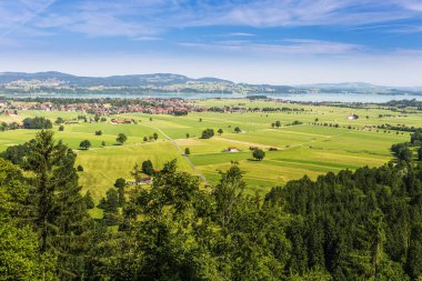 Schwangau. Forggensee. Neuschwanstein castl yanında yeşil alanları