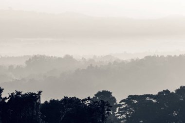 Tropikal peyzaj palmiye ağaçları ile büyümüş. Alçak bulutlar kapakları 