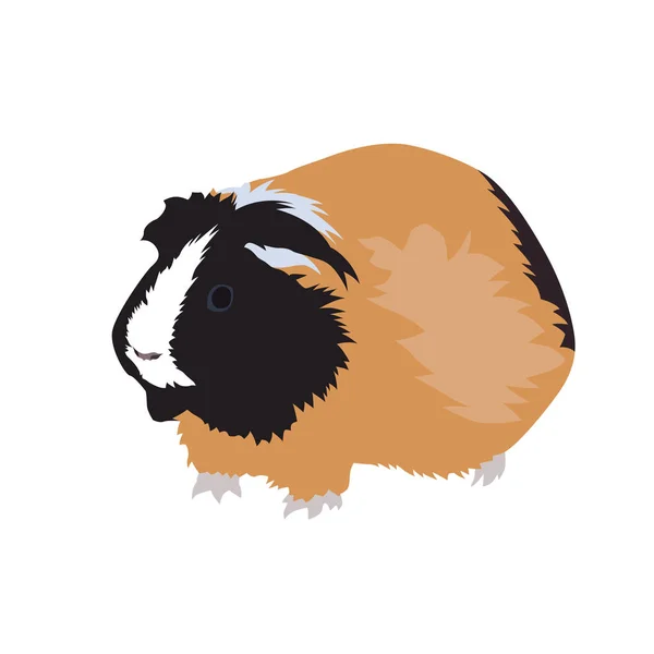Cavy Color Icon Domestic Guinea Pig Isolated Vector Illustration