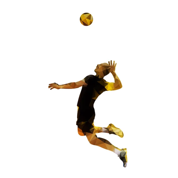 Polygonaler Volleyballspieler, isolierte Vektorsilhouette — Stockvektor