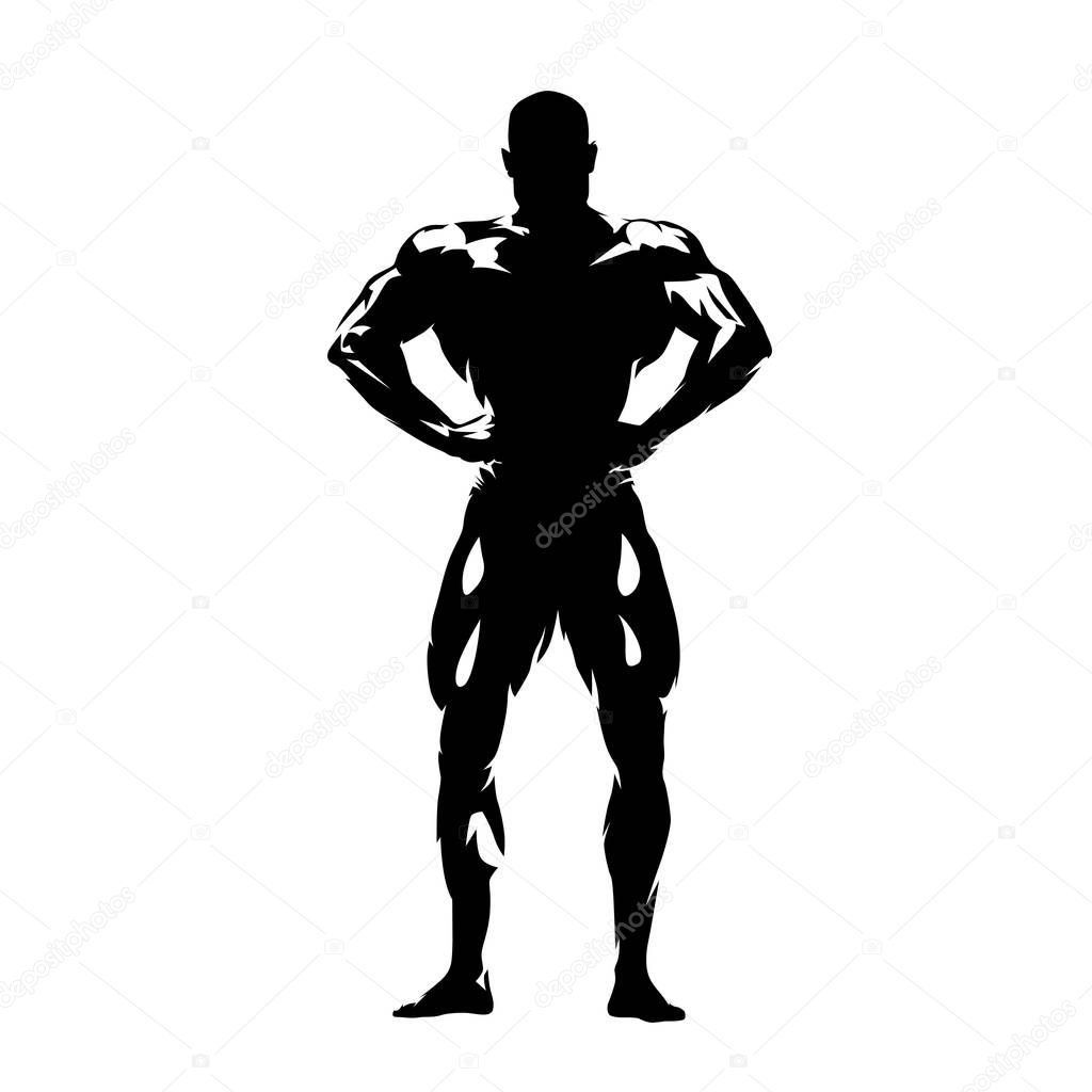 Posing bodybuilder, isolated vector silhouette, ink drawing