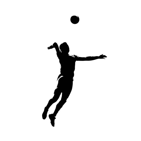 Volleyball player smashes the ball, isolated vector silhouette, Stock ...