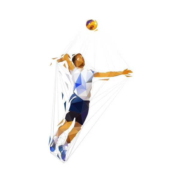 Joueur Volley Ball Illustration Vectorielle Isolée Basse Poly Sport Équipe — Image vectorielle