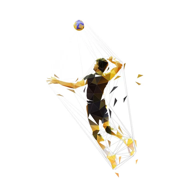 Jugador Voleibol Ilustración Vectorial Aislada Poli Baja Equipo Geométrico Ahtlete — Vector de stock