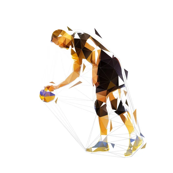 Joueur Volley Ball Illustration Vectorielle Isolée Basse Poly Sport Équipe — Image vectorielle