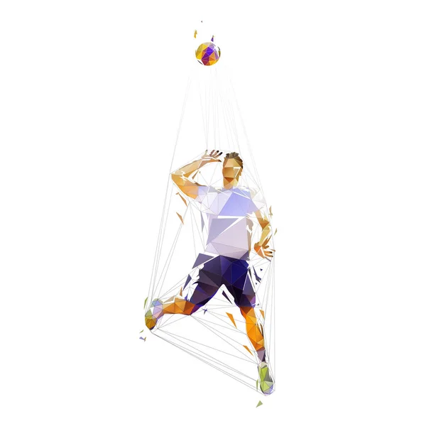 Joueur Volley Ball Illustration Vectorielle Isolée Basse Poly Sport Équipe — Image vectorielle