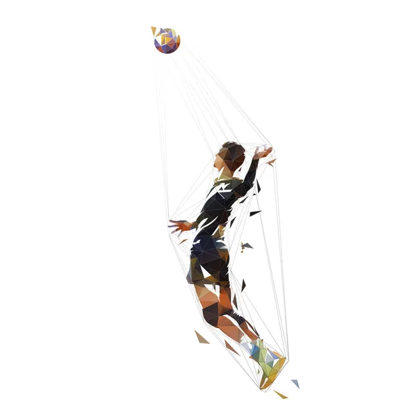 Joueur Volley Ball Illustration Vectorielle Isolée Basse Poly Sport Équipe — Image vectorielle