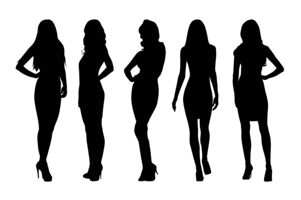 Frauen Gruppe Von Geschäftsfrauen Silhouetten Isolierte Vektormenschen — Stockvektor