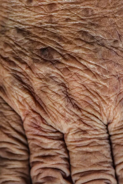 Close-up shot of the wrinkled senior skin people hand. Textures of old skin hand.