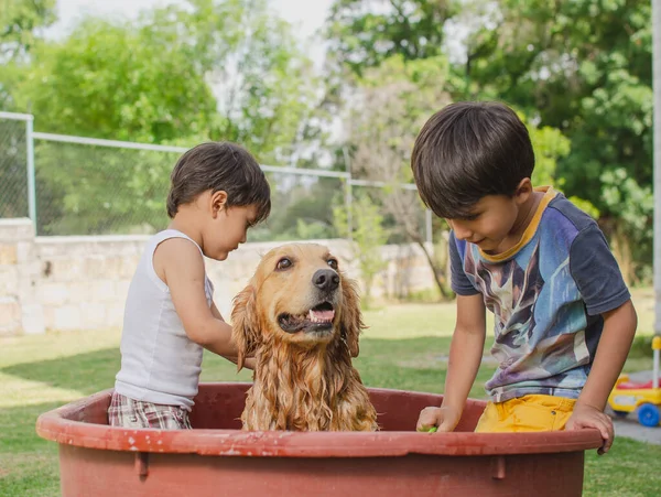 Feliz Niños Ducha Perro Golden Retriever Jardín Mojarse — Foto de Stock