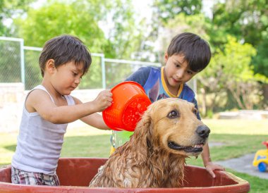 Mutlu çocuklar bahçede bir köpek golden retriever 'ı ıslatıyor.