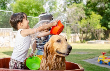 Mutlu çocuklar bahçede bir köpek golden retriever 'ı ıslatıyor.