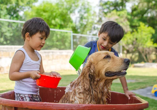 Feliz Niños Ducha Perro Golden Retriever Jardín Mojarse — Foto de Stock