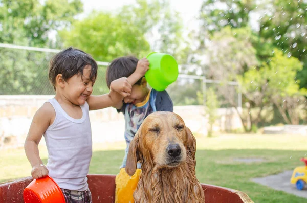 Feliz Niños Ducha Perro Golden Retriever Jardín Mojarse — Foto de Stock