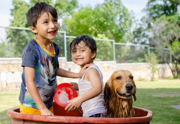 happy kids shower a dog golden retriever in the garden and getting wet