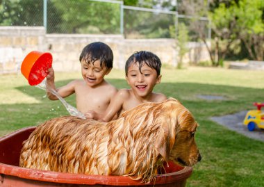 Mutlu çocuklar bahçede bir köpek golden retriever 'ı ıslatıyor.
