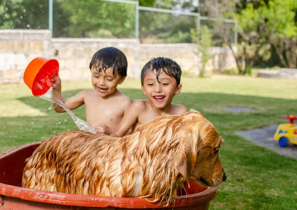 Feliz Niños Ducha Perro Golden Retriever Jardín Mojarse — Foto de Stock