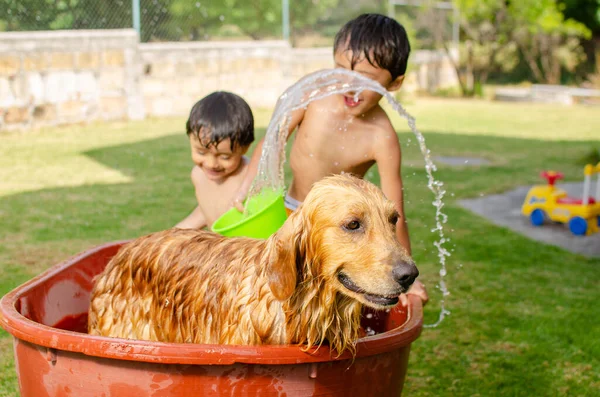 Feliz Niños Ducha Perro Golden Retriever Jardín Mojarse — Foto de Stock