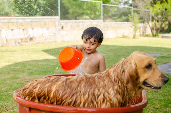 Feliz Niños Ducha Perro Golden Retriever Jardín Mojarse — Foto de Stock