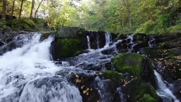 Aerial Bard College New York — Stock Video