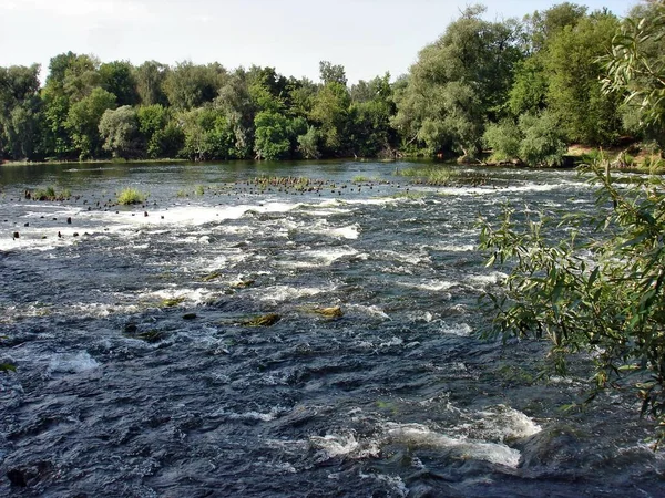 夏天的早晨 在堤坝下面 一条宽阔的 湍急的河 河岸上覆盖着茂密的绿色植被 — 图库照片