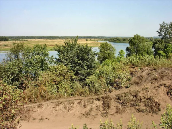 A wide river on a late Sunny summer morning. The surface of the river along the banks is overgrown with dense aquatic vegetation. The steep Bank is covered with bushes and trees. On the opposite Bank, you can see water meadows.