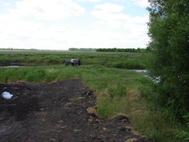 Yeşil sel çayırları yazın güneşli gün ufka kadar uzanıyor. Küçük bir nehir sık otlar yetiştirdi. İnsanlar nehir yatağını boşaltma sorunlarını tartışıyor..