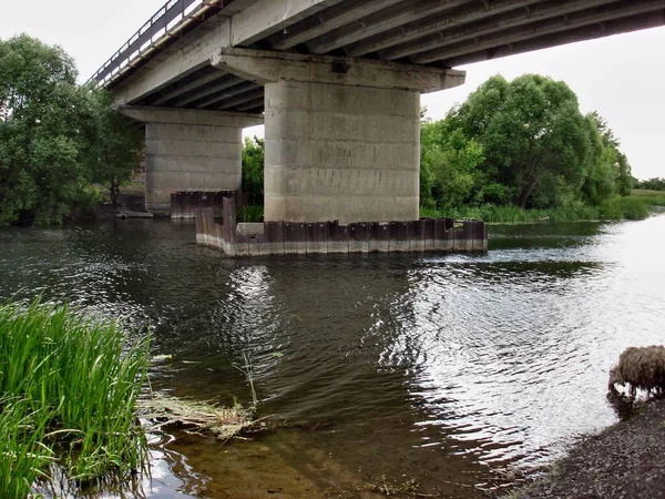 Einem Bewölkten Tag Weidet Ein Einsames Schaf Unter Einer Straßenbrücke — Stockfoto