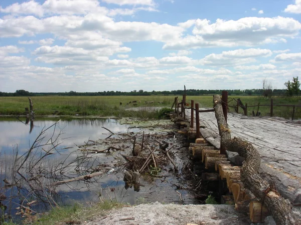 On a small river there is an old low wooden bridge made of logs. Bridge detain floating debris on the water.On the banks of the river green meadows. Animals graze in the meadow. Clouds float in the blue sky and are reflected in the river.