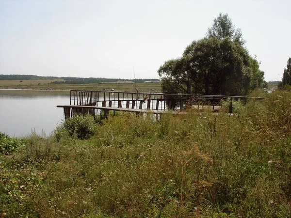 Barrage Étang Situé Sur Colline Centrale Russe Avec Arbre Solitaire — Photo