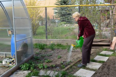 COVID19 koronavirüsü nedeniyle yüksek risk altında olan bir kadın konutunda izole edilir ve çiçek ve sebze yetiştirmekle meşgul olur..