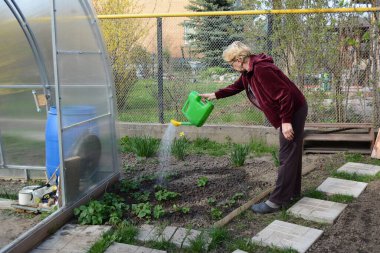 COVID19 koronavirüsü nedeniyle yüksek risk altında olan bir kadın konutunda izole edilir ve çiçek ve sebze yetiştirmekle meşgul olur..
