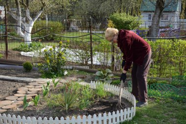 COVID19 koronavirüsü nedeniyle yüksek risk altında olan bir kadın konutunda izole edilir ve çiçek ve sebze yetiştirmekle meşgul olur..