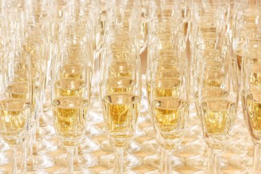 Masada şampanya bardakları