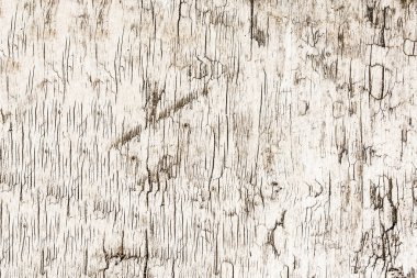 Eski doğal ahşap dokusu 