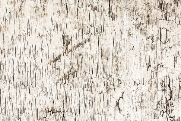 Eski doğal ahşap dokusu 