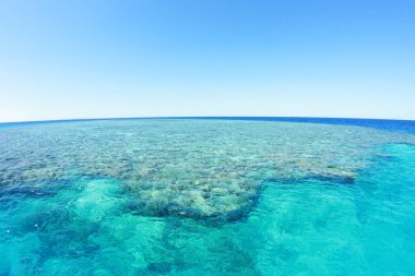 Kızıl deniz şeffaf su. Geniş açılı deniz manzaralı. Su yüzeyinin altındaki mercan kayalıkları. Mavi gökyüzü denizin ortasında güneşli bir gün. Temiz su dalış için mükemmel..