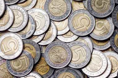 Beş Polonyalı Zloty. Para tasarruf dokusu. Çift taraflı metal para. Bir yığın nakit geçmiş. Küçük miktarları adım adım biriktirmek size makul miktarda para kazandırır..