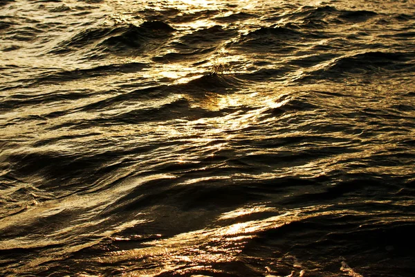 Sea sunset background. Sea water surface. Ocean waves. Sea shore sunligh reflection texture.