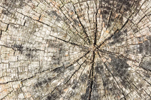 Gammal Trästruktur Med Naturligt Mönster — Stockfoto