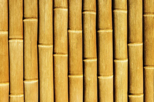 Жовтий Кольоровий Бамбуковий Тло Азійська Стіна Огорожі — стокове фото