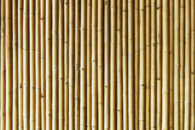Kahverengi bambu çubuk duvarı. Asya doğal orman çitleri. Ahşap boru dokusu.