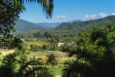 Sri Lanka adasındaki dağların manzarası