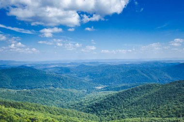 Polonya 'daki Bieszczady Ulusal Parkı. Yaz tatili dağ yürüyüşü. Kırsal manzara arkaplanı.