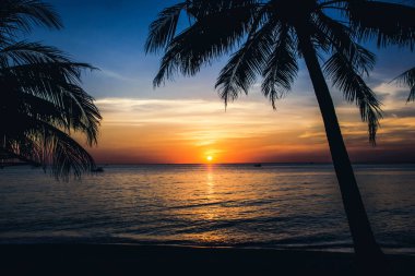 Phu Quoc Adası gün batımı. Vietnam 'da tatil. Palmiye ağacı ve okyanusla akşam kumsalı manzarası.