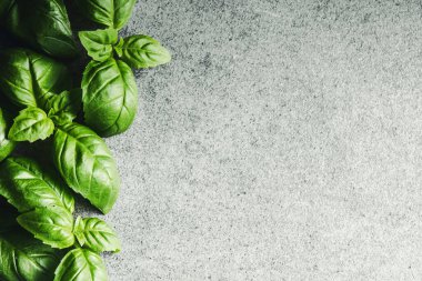 Yeşil fesleğen yaprakları. Boş fotokopi alanı pişirme arka planı. Bitkisel besin. Organik taze yaprak dokusu. Aromatik vejetaryen salata sosu ve baharatlı makarna..