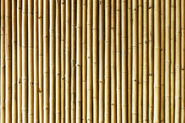 Bruine Bamboe Muur Aziatische Natuurlijke Jungle Hek Achtergrond Houten Buizen — Stockfoto